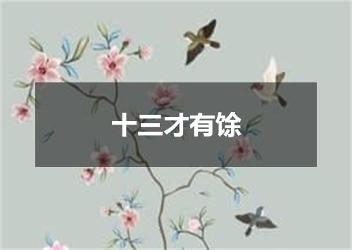 十三才有馀