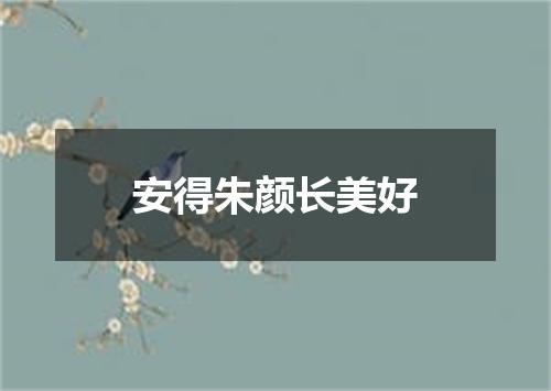 安得朱颜长美好