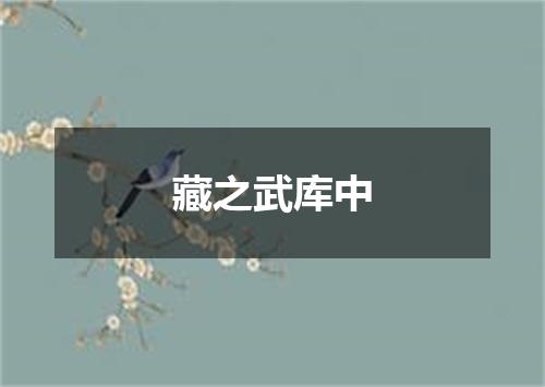 藏之武库中