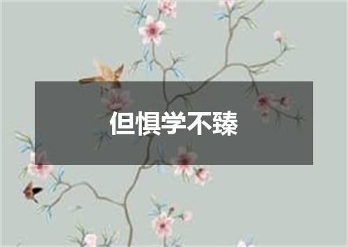 但惧学不臻