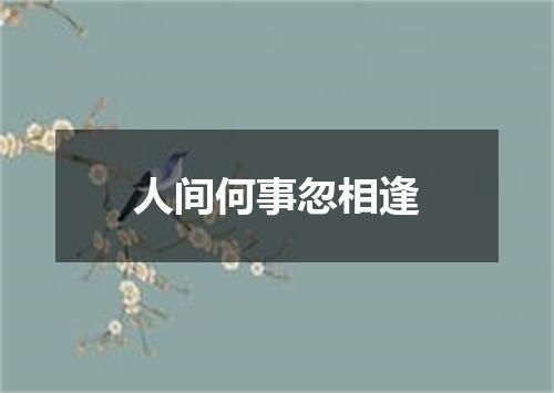人间何事忽相逢