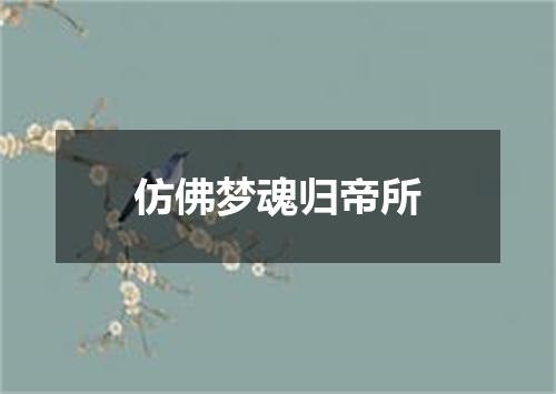 仿佛梦魂归帝所