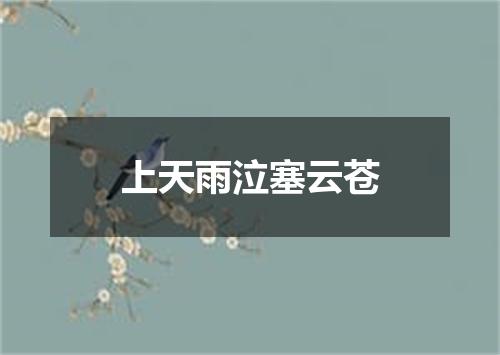 上天雨泣塞云苍