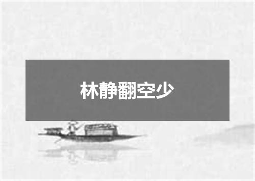 林静翻空少