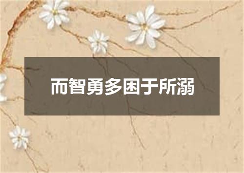 而智勇多困于所溺