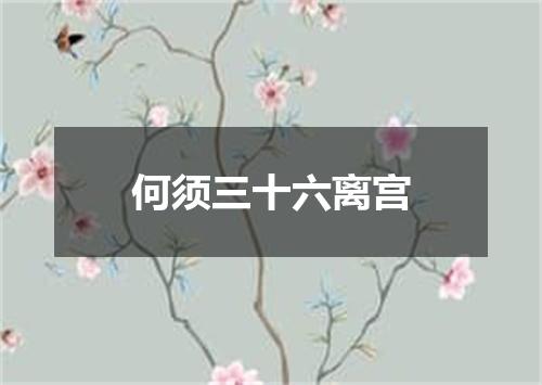 何须三十六离宫