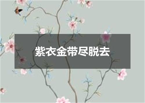 紫衣金带尽脱去