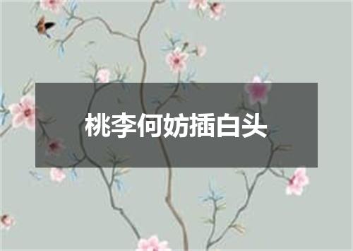 桃李何妨插白头