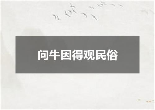 问牛因得观民俗