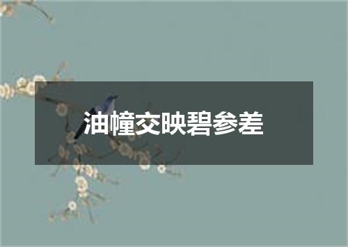 油幢交映碧参差