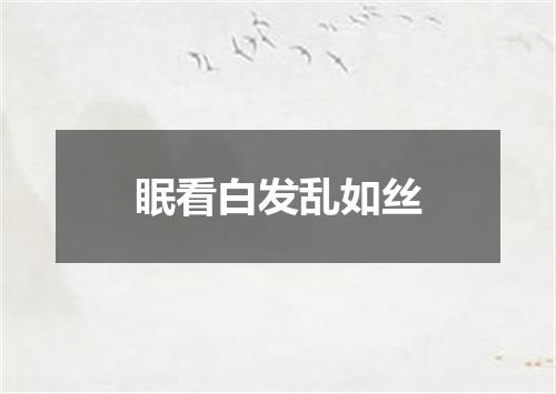 眠看白发乱如丝