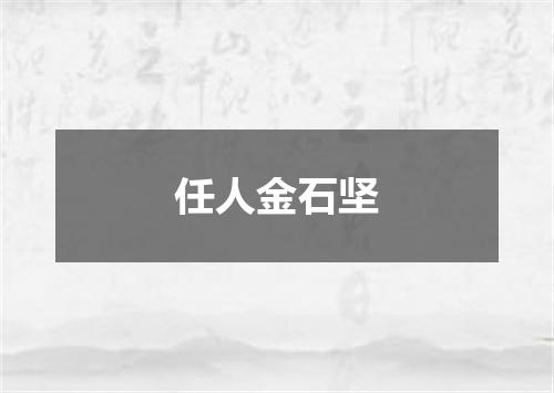 任人金石坚