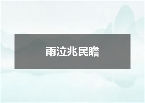 雨泣兆民瞻