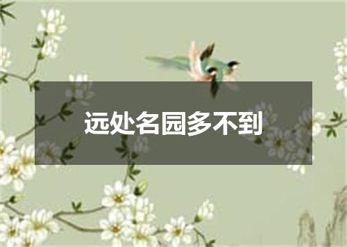 远处名园多不到