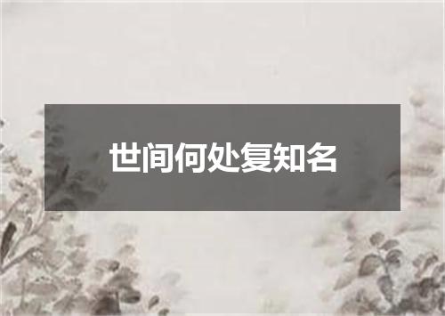 世间何处复知名
