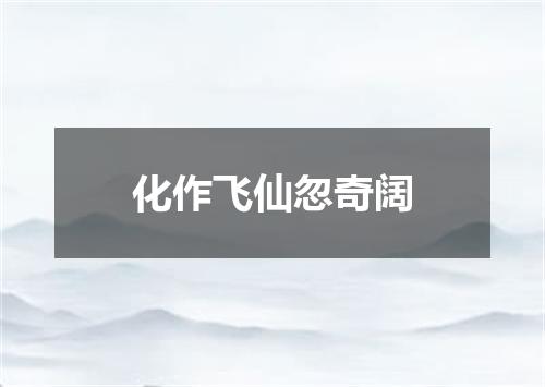 化作飞仙忽奇阔