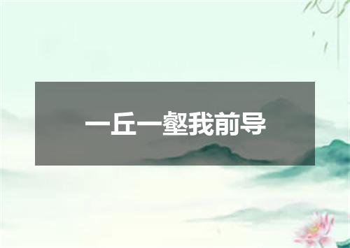一丘一壑我前导
