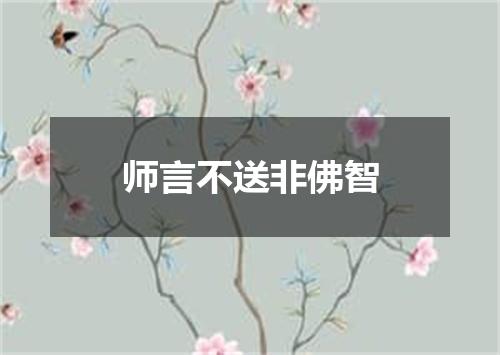 师言不送非佛智