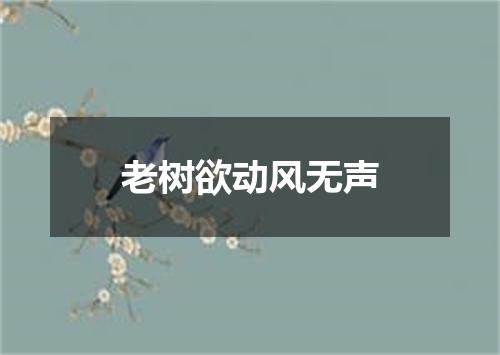 老树欲动风无声