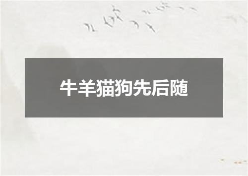 牛羊猫狗先后随