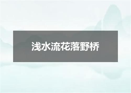 浅水流花落野桥