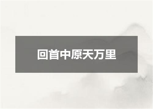 回首中原天万里