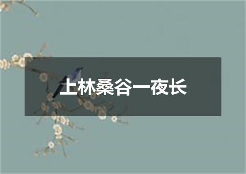上林桑谷一夜长