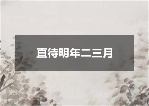 直待明年二三月