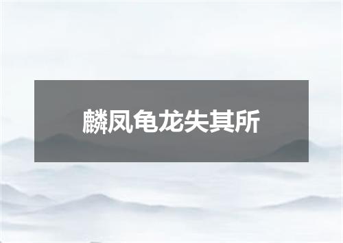 麟凤龟龙失其所