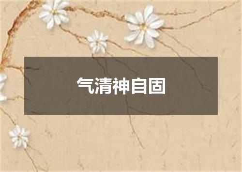 气清神自固
