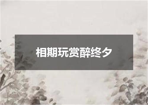 相期玩赏醉终夕