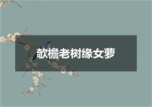 欹檐老树缘女萝