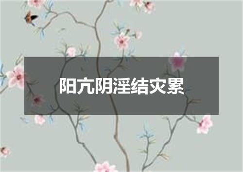 阳亢阴淫结灾累