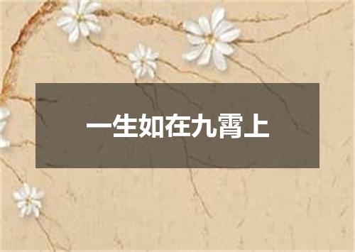 一生如在九霄上