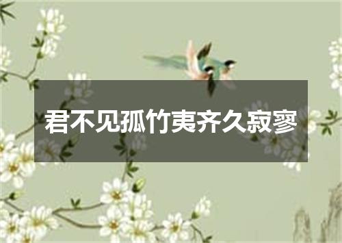 君不见孤竹夷齐久寂寥