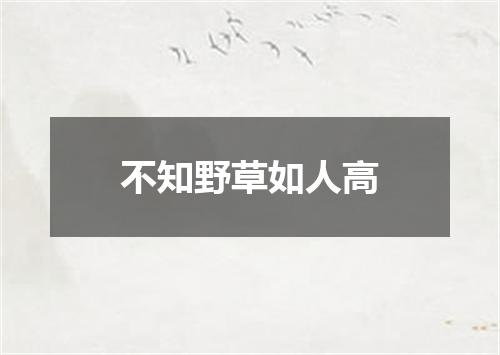 不知野草如人高