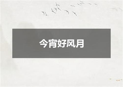 今宵好风月