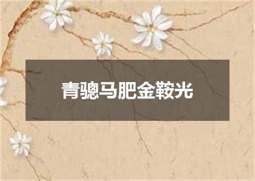 青骢马肥金鞍光