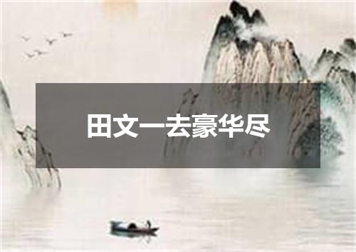 田文一去豪华尽