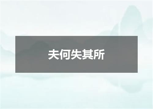夫何失其所