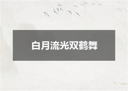 白月流光双鹤舞