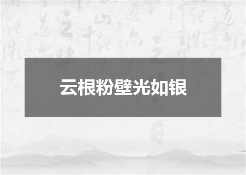 云根粉壁光如银