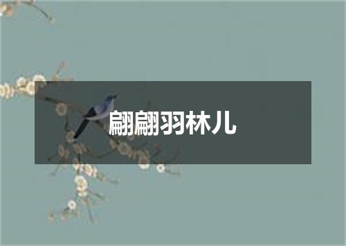 翩翩羽林儿