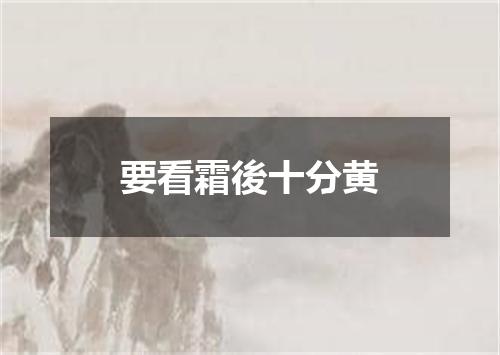 要看霜後十分黄