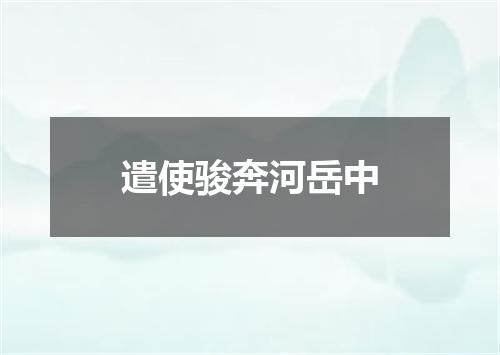 遣使骏奔河岳中