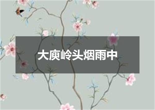 大庾岭头烟雨中