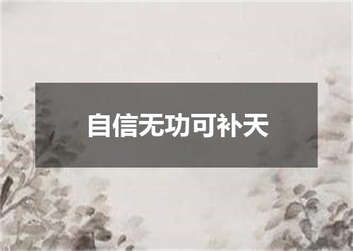 自信无功可补天