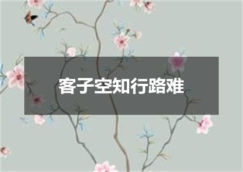 客子空知行路难