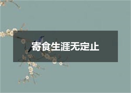寄食生涯无定止