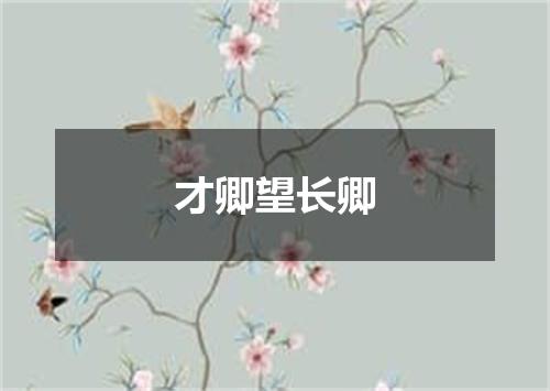 才卿望长卿